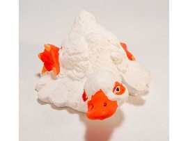 plaster- duck